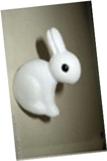兔子_副本.jpg