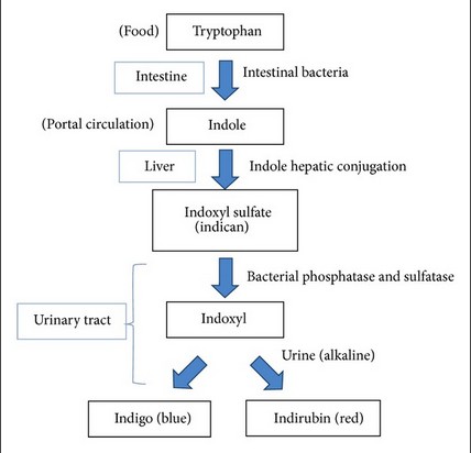 TS@UUVHQUCHCL%APXPT1E.jpg TS@UUVHQUCHCL%APXPT1E.jpg