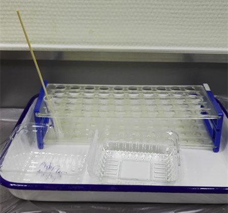 IMG_20170619_090000_副本.jpg IMG_20170619_090000_副本.jpg