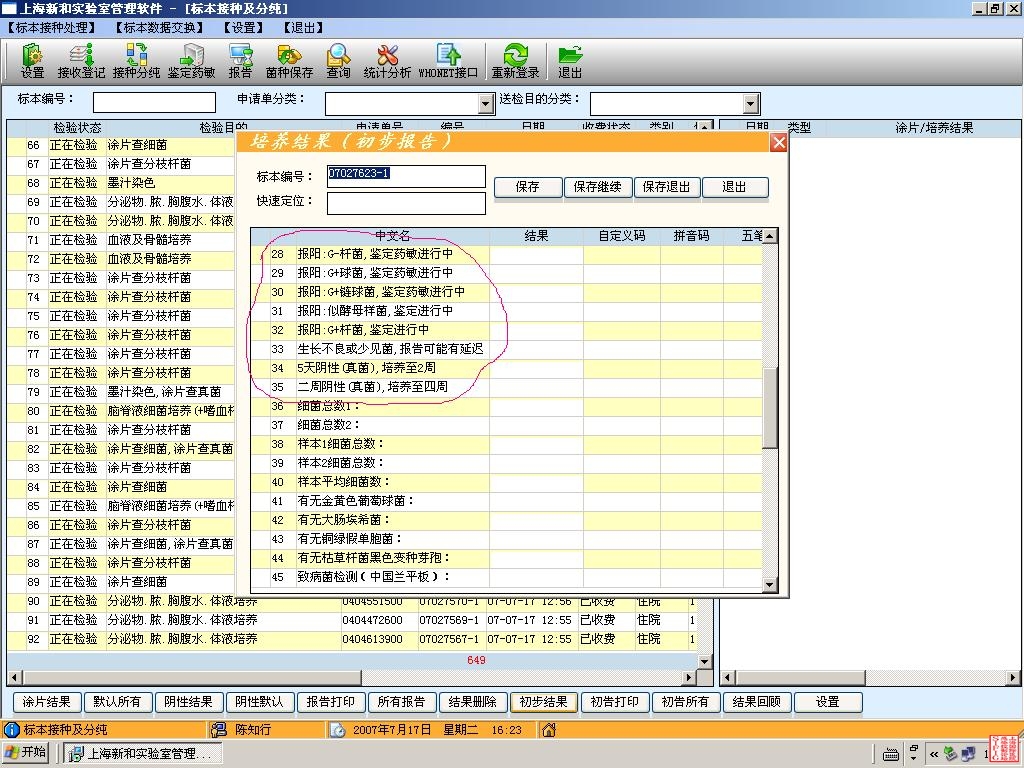 分级报告部分内容选项