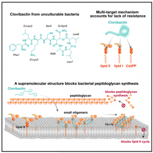 新型设计方法，未来抗生素可能是这样子的……