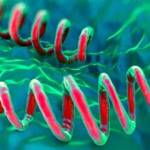 老年患者梅毒阳性，是否界定为传染病？